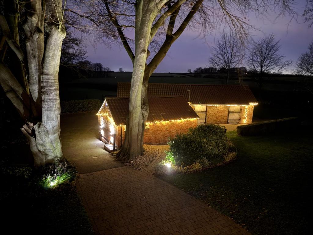a house with christmas lights in the yard at night at Crossways Beech Tree in Grimsby