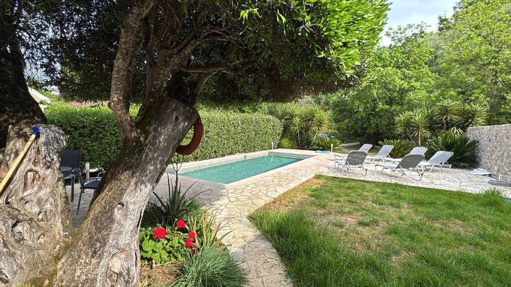 a swimming pool in a yard with chairs and a tree at Charmante petite maison à Corfou in Pelekas