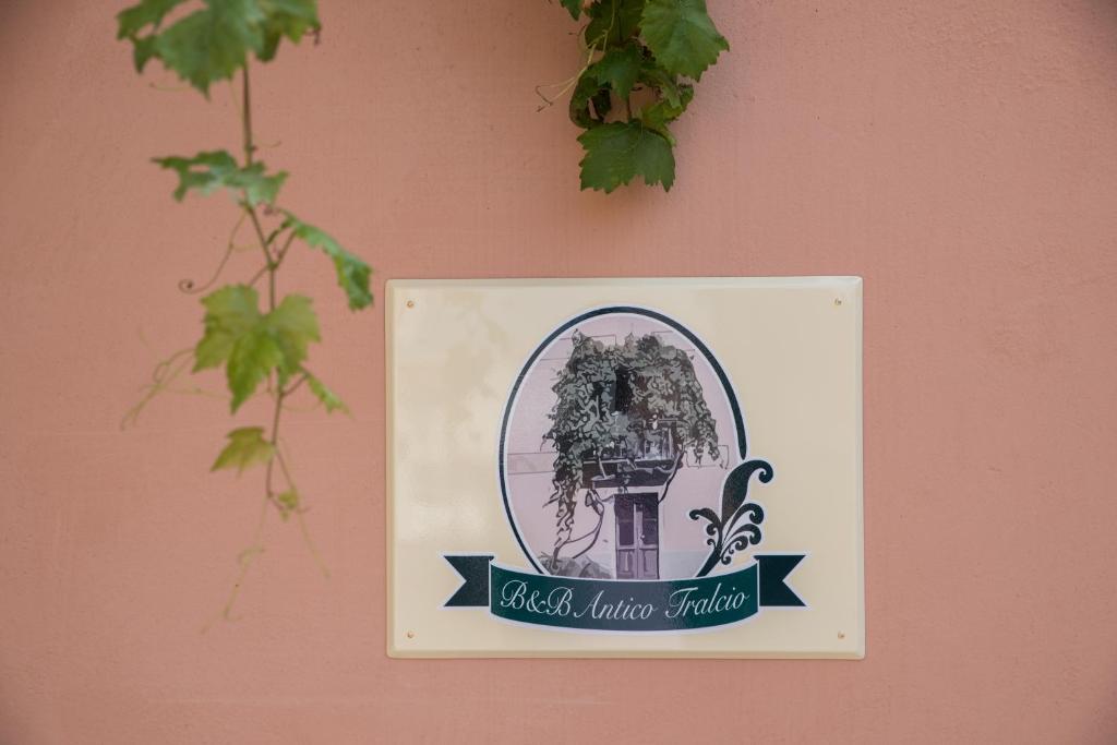 Fotografia z galérie ubytovania B&b Antico Tralcio v destinácii Antignano