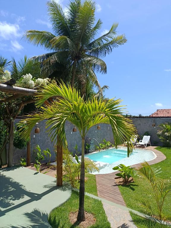 a palm tree next to a swimming pool at Arraia Suítes Pousada in Pipa