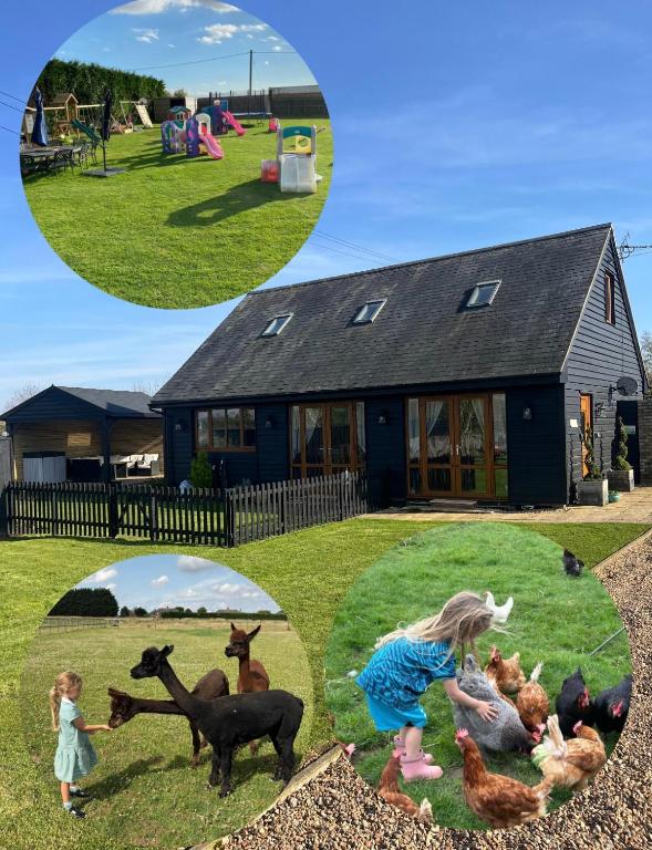 a collage of two pictures of a house with chickens at The Gatehouse in Upwell