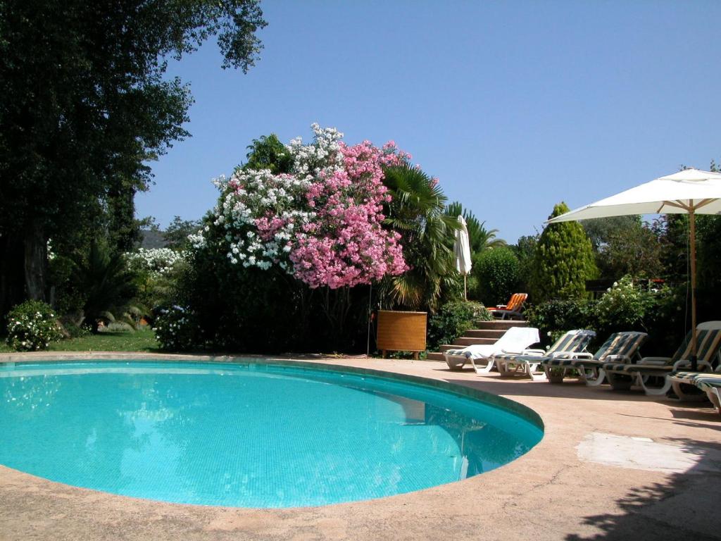 a swimming pool with chairs and a tree with pink flowers at L'Amandari in Le Plan-de-la-Tour