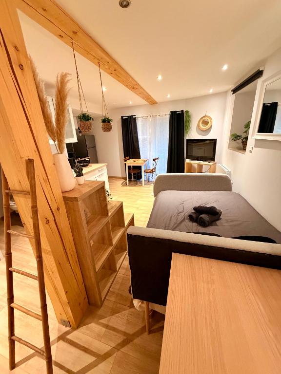 Studio cosy Kaysersberg centre – photo 11
