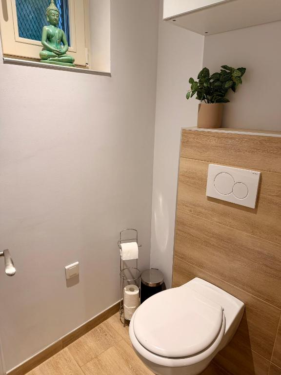 Studio cosy Kaysersberg centre – photo 8