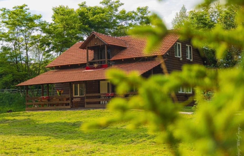 a large wooden house with a red roof at Apartament Amis tip Cabana in Poeni