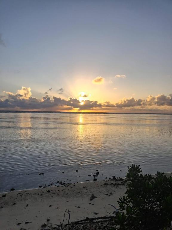 Tropical Place - photo 3 - Huahine, Polynésie