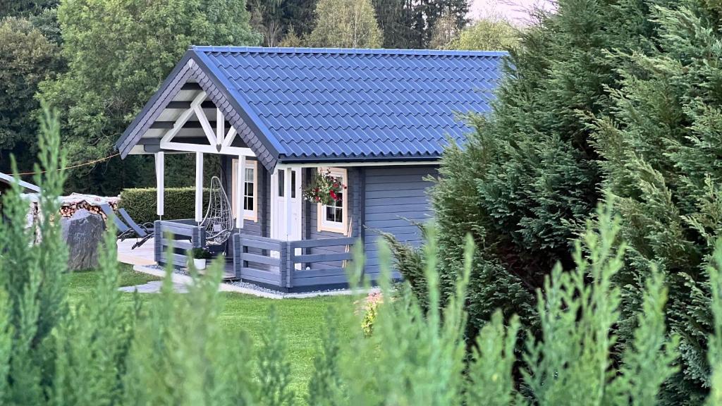 a small shed with a blue roof in a garden at Haeuslein-Waldesruh in Muldenberg