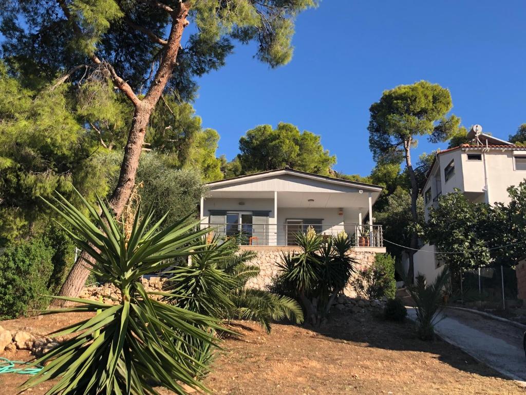 a house with a palm tree in front of it at Lagonisi Cottage - with spacious garden in Áyios Nikólaos