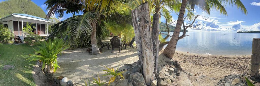 Maison climatisée 1 chambre - photo 11 - Huahine, Polynésie