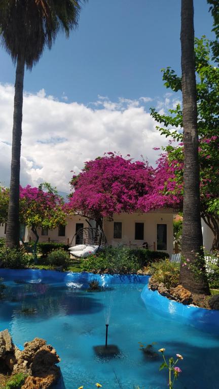 a resort with a blue pool with trees and pink flowers at Blue & White Hotel in Cıralı