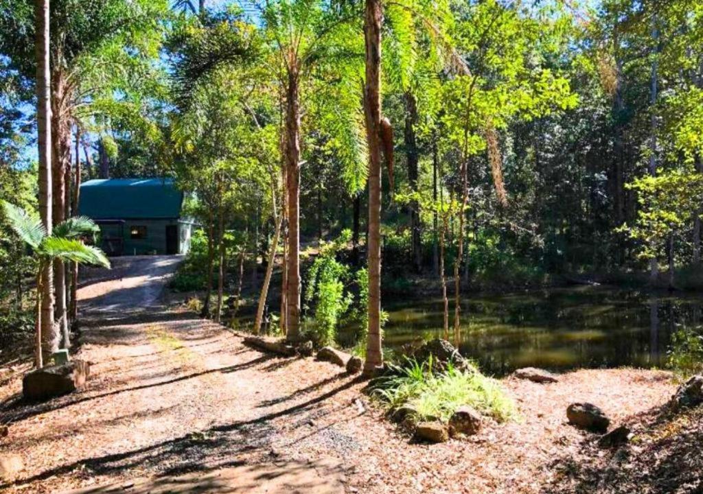 a road through a forest with a building in the background at LAKE VIEW CHALET Australia Zoo close by in Landsborough