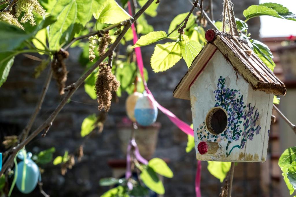 una casa de pájaros colgando de un árbol en Country House Araba Phoenix, en Castellabate