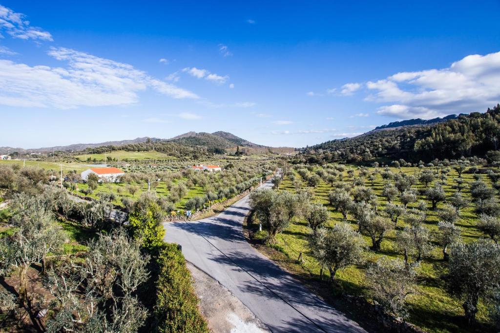 Convento Senhora da Vitória - 19