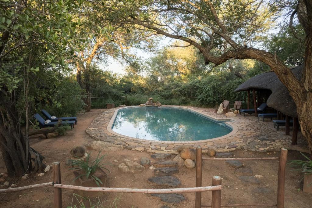 a swimming pool in a yard with a tree at Kelora Bush Camp in Hoedspruit