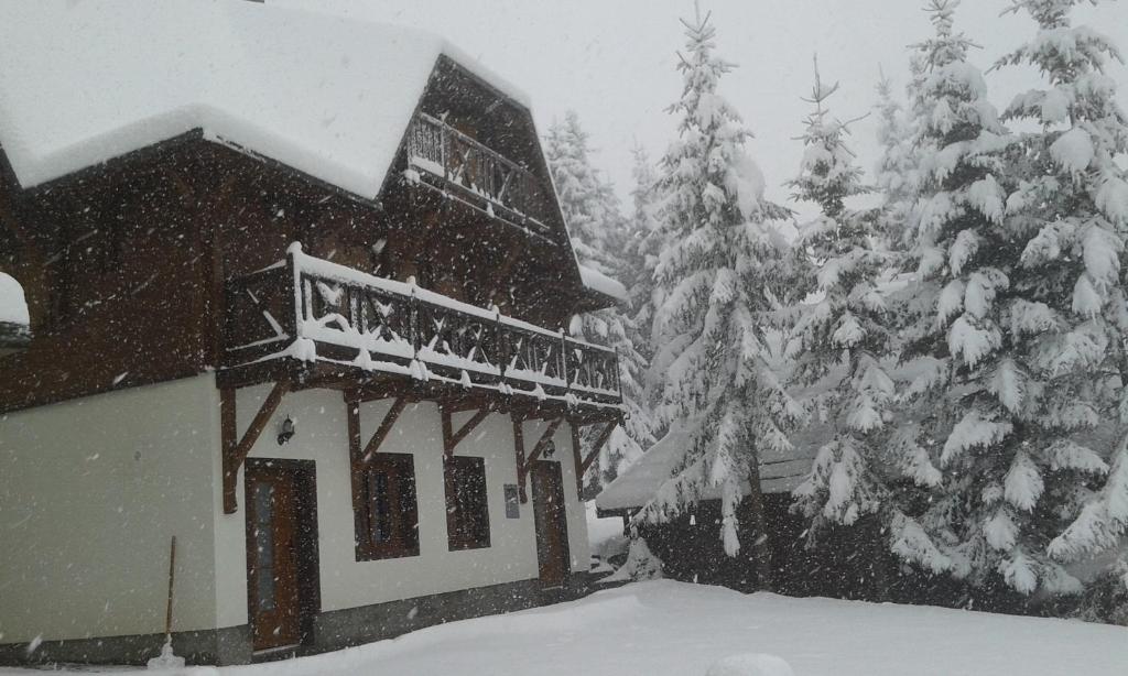 a house covered in snow in front of trees at Apartments Vila Zubović in Kopaonik