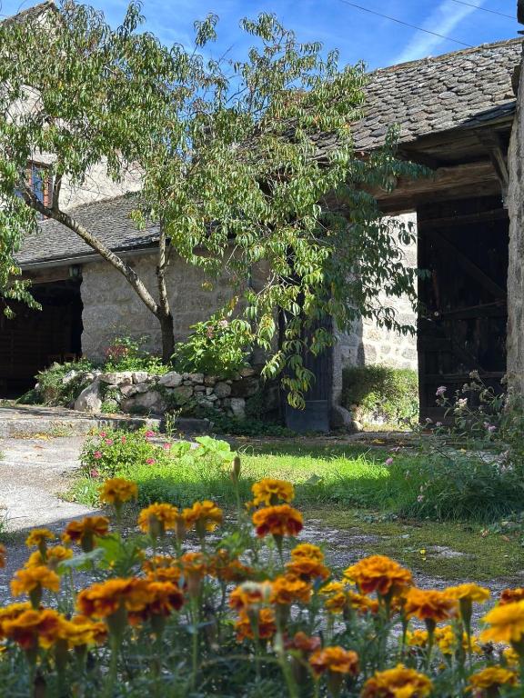 a garden with flowers in front of a building at Le Gite de la Ferme d Issac in Le Nayrac