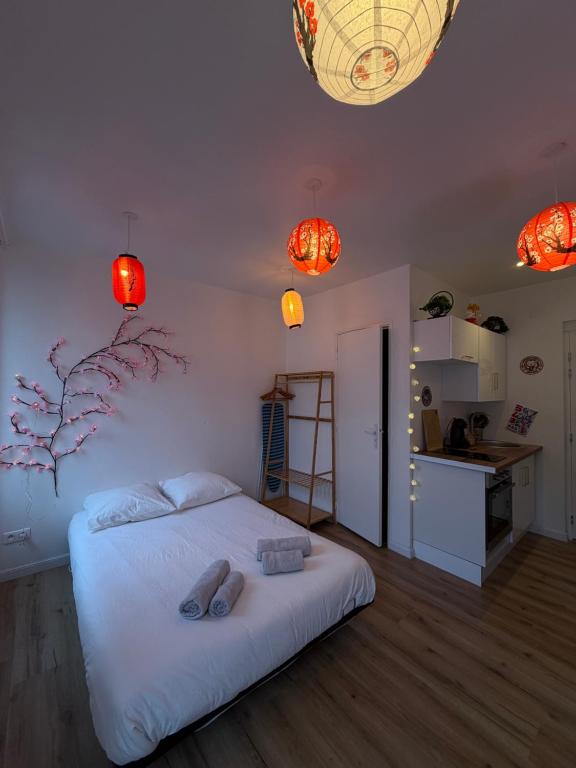 Le 10 - Studio Tokyo, tout équipé Mulhouse centre - stationnement gratuit – photo 2