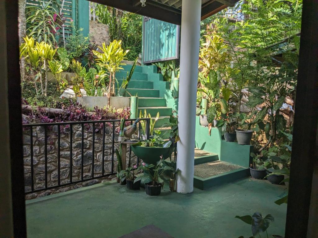 a porch with a bunch of potted plants and stairs at Ella Nature Breeze in Ella
