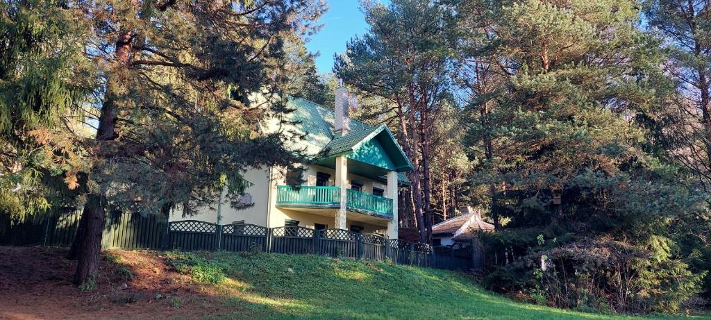 a house on a hill with a fence and trees at Žalioji vila in Varteliai