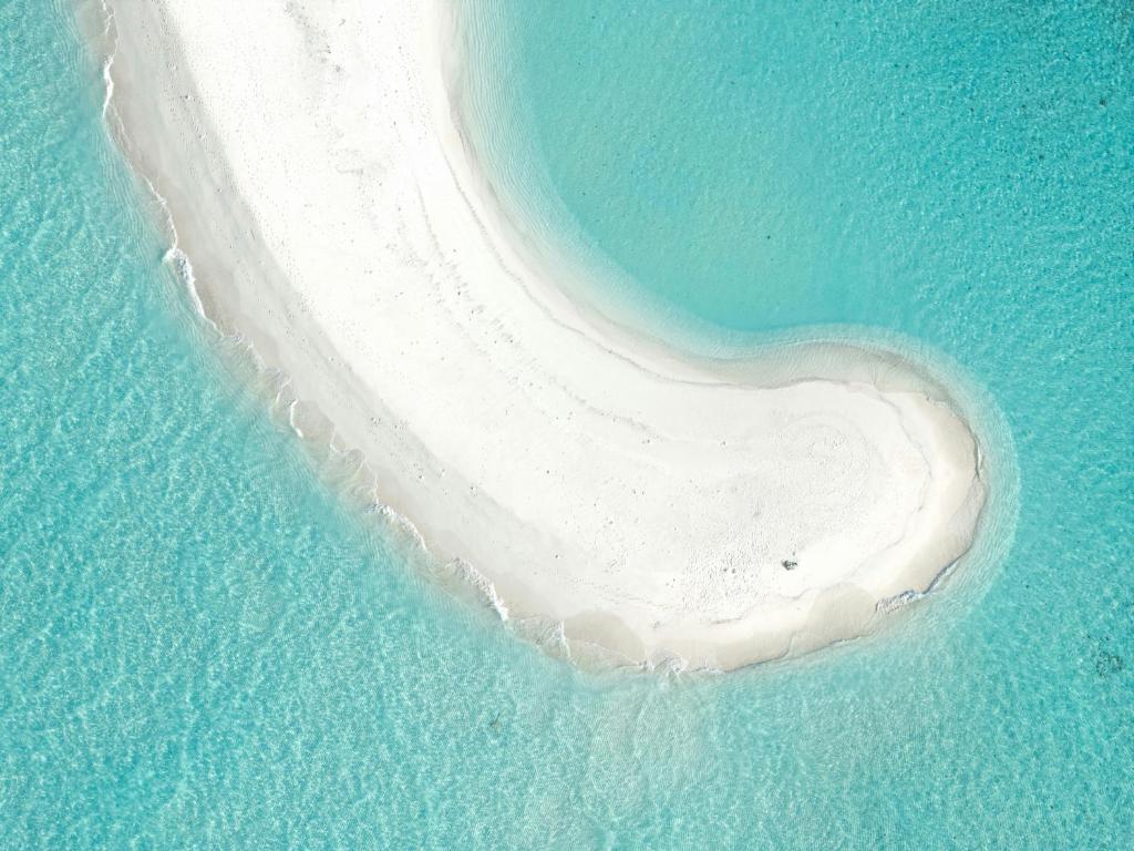 Tripo Travel - View 11