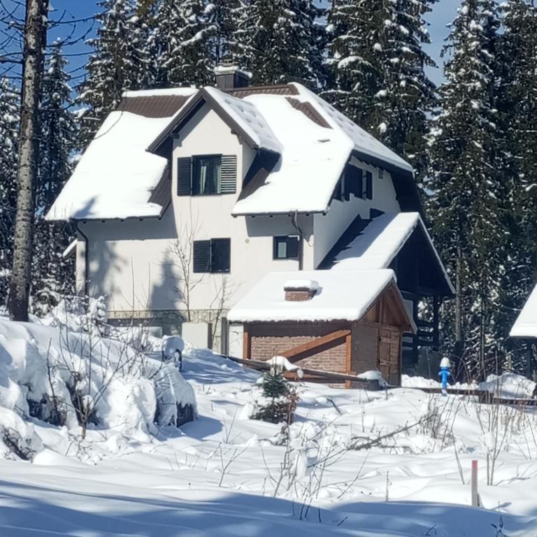 a house with snow on the roof at Villa Pahuljica in Jahorina