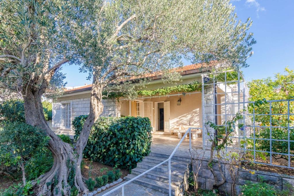 a house with a tree in front of it at Holiday Apartment Maria in Orebić