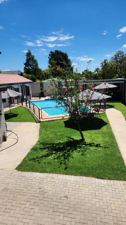 a tree in the grass next to a swimming pool at Crown Palace Guesthouse in Pretoria