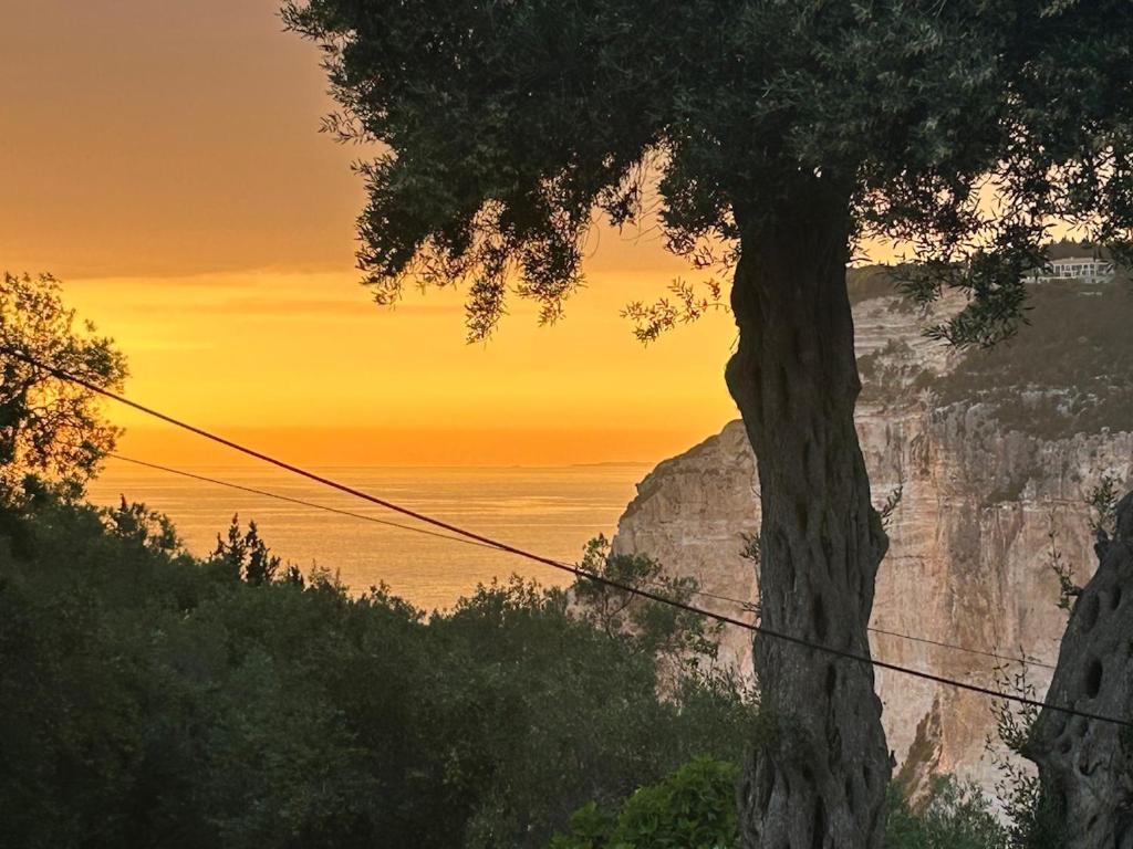 a sunset over the ocean with a tree at Loukas house Paxos in Boïkátika