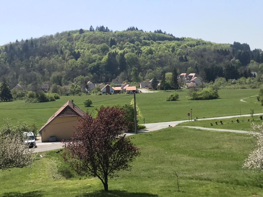 a house in a field with a mountain in the background at Gîte la Chenevière in Étueffont
