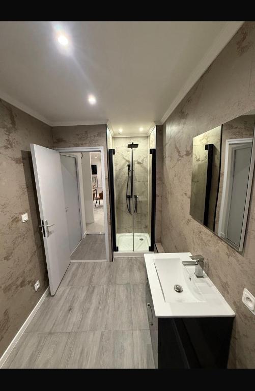 a bathroom with a white sink and a shower at Grande rue in Roubaix