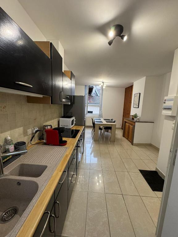 a kitchen with a sink and a counter top at Le Nid Bressan in Bourg-en-Bresse