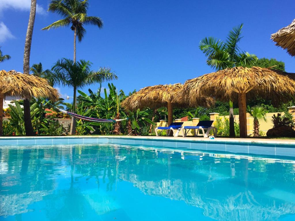 a swimming pool with chairs and umbrellas and palm trees at Las Galeras Hotel in Las Galeras