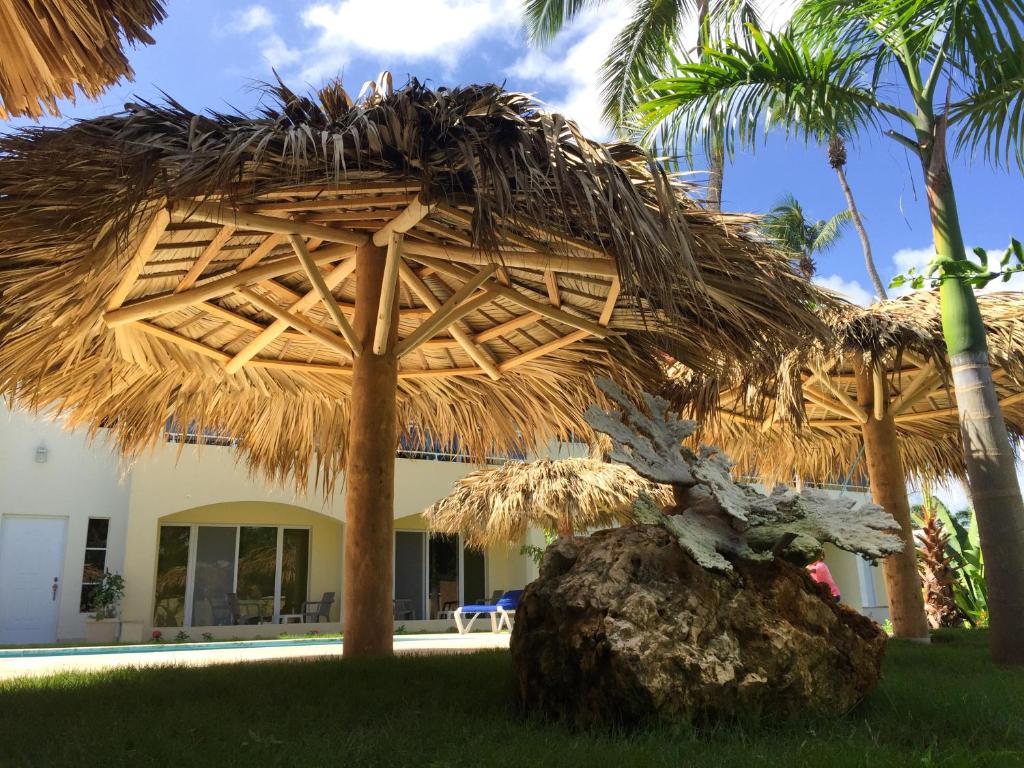 a straw hut on top of a rock in front of a house at Las Galeras Hotel in Las Galeras