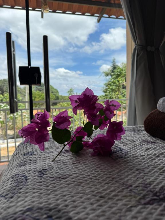 a bunch of purple flowers sitting on top of a bed at Pousada Buganvília in Tianguá