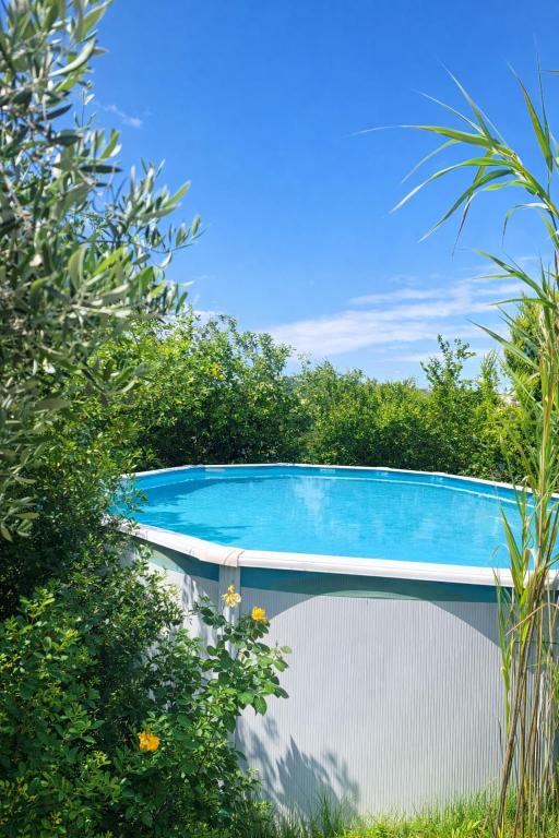 Pure Crete - Tiny House & Luxury Tent - 8