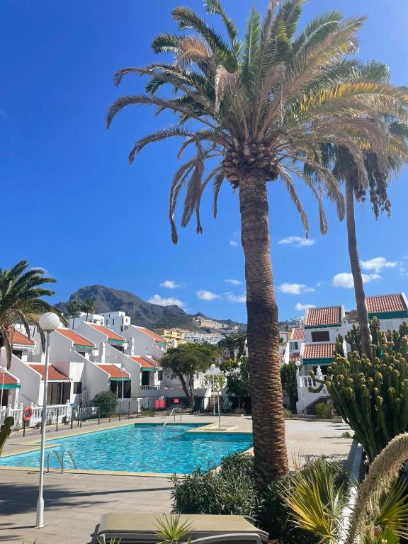 a palm tree next to a swimming pool at La Playa in Adeje