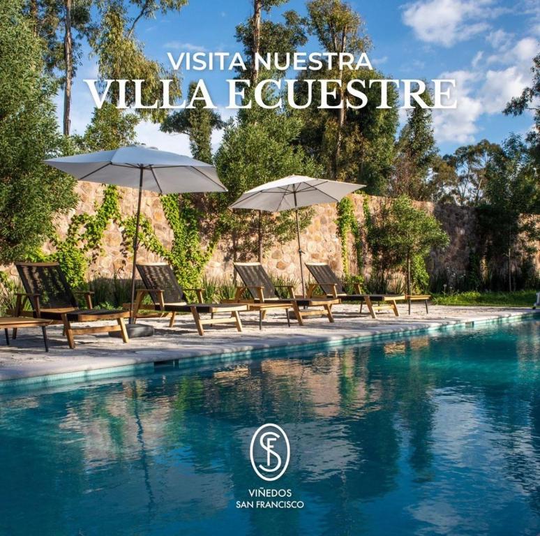 a group of chairs with umbrellas next to a pool at Villa Ecuestre in Cedro
