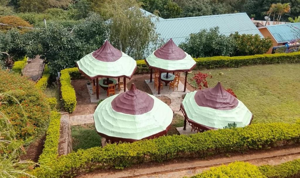 Avocado Lodge