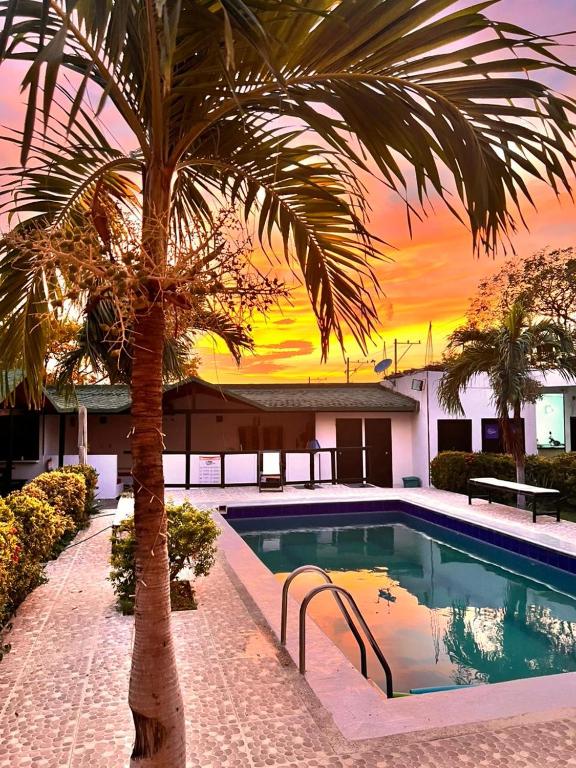 a palm tree sitting next to a swimming pool at La Masia Hostal in Taganga