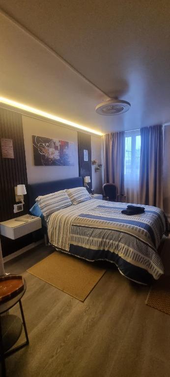a bedroom with a large bed with a blue comforter at Charmante chambre chez l'habitant in Ivry-sur-Seine