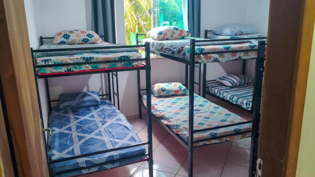 a room with three bunk beds in a room at Hostel Sundays in Angra dos Reis