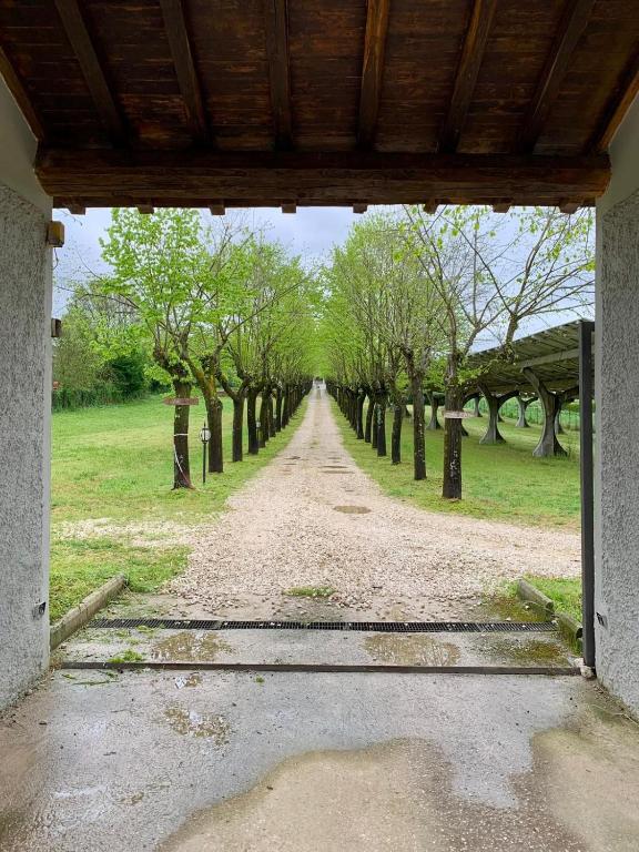 a dirt road with trees in the distance at Casale Sciarra in Anagni