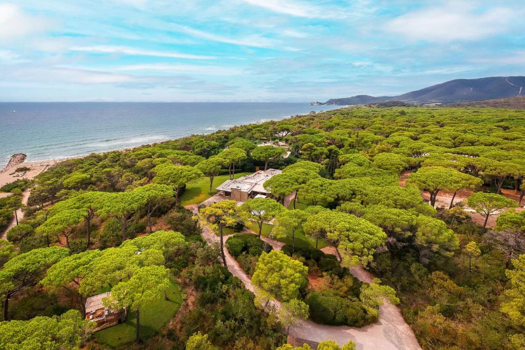 an overhead view of a forest with the ocean at Villa Rocchetta in Casa Mora