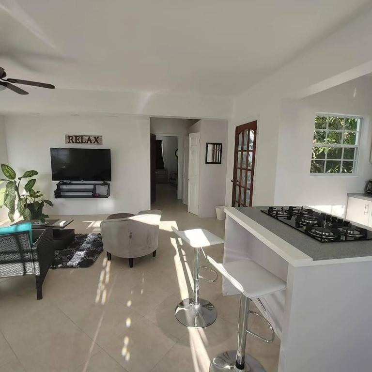 a kitchen and living room with a stove top oven at Penthouse Suite - Chez Mango Villa in Olveston