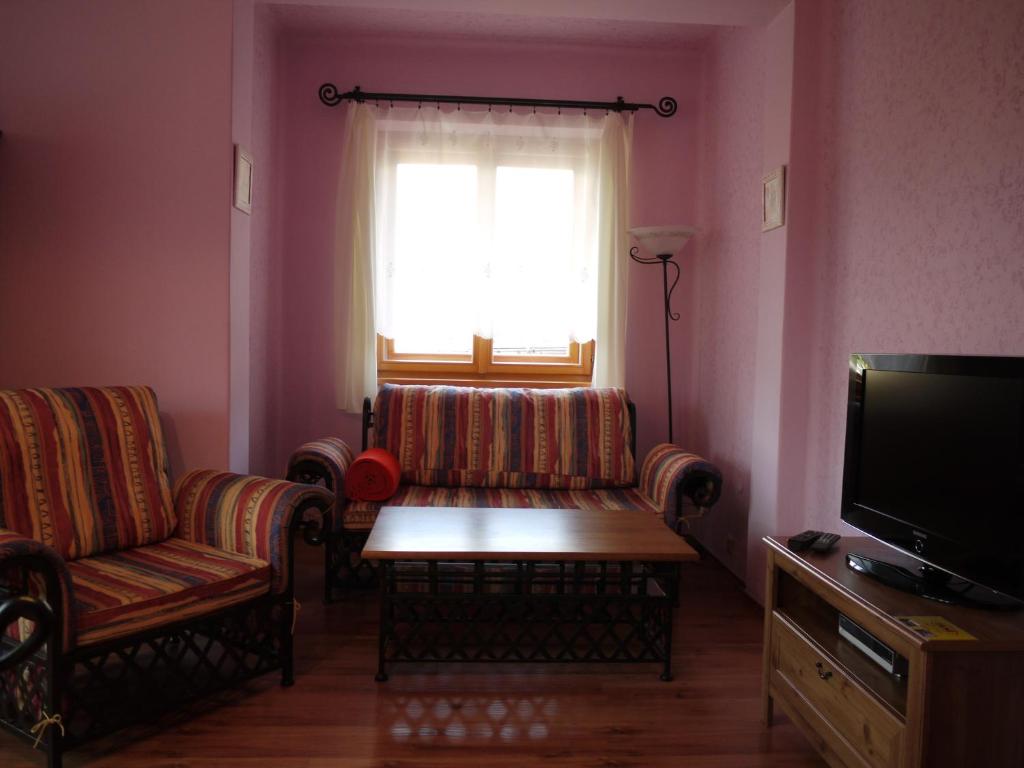 TV a/nebo společenská místnost v ubytování Apartmány PEMI Potštejn