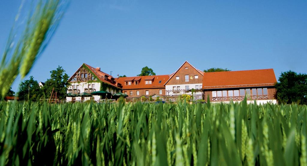 um grupo de edifícios e um campo de relva em Hotel Neue Höhe em Klingenberg