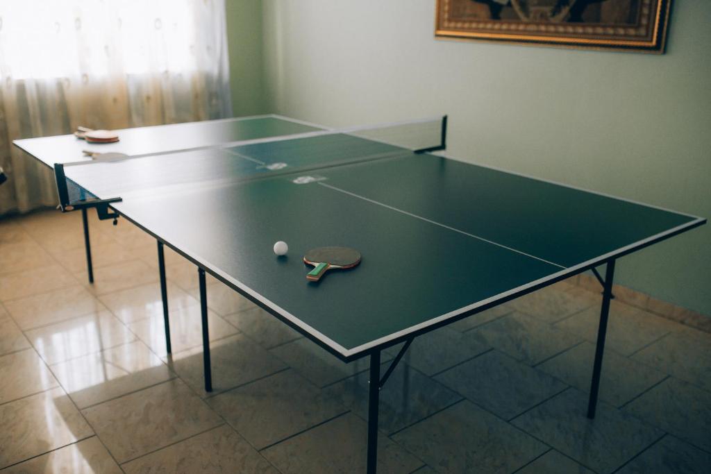 Stolní tenis v ubytování Fermerska Hata nebo okolí