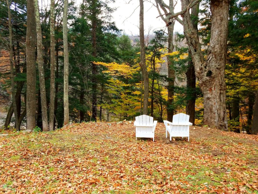 Prattsville的住宿－布萊克拜爾汽車旅館，两把白色椅子坐在一堆树叶上