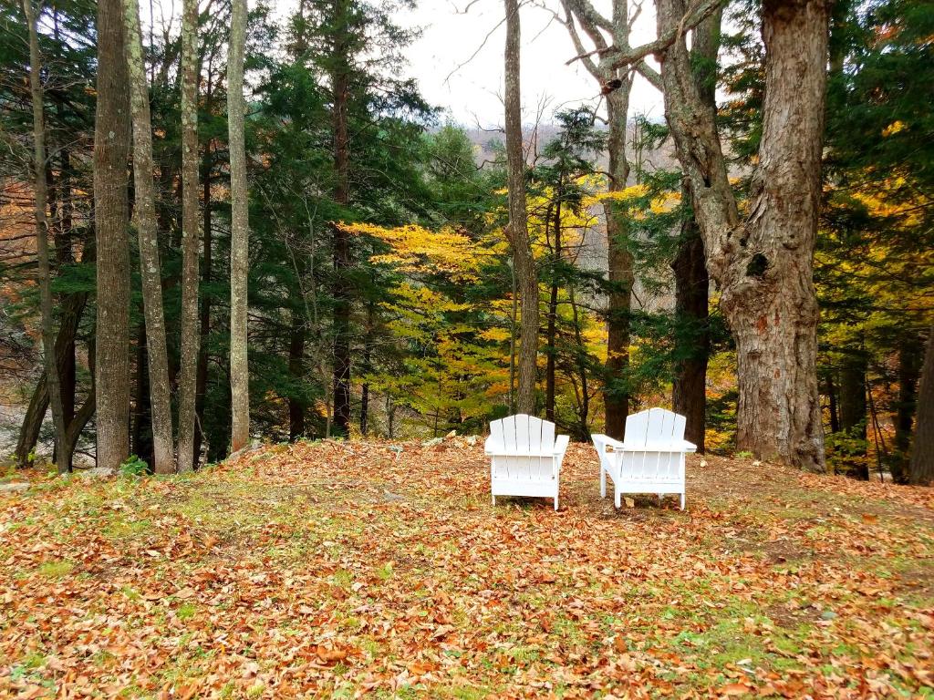 Black Bear Lodge, Prattsville (updated prices 2024)