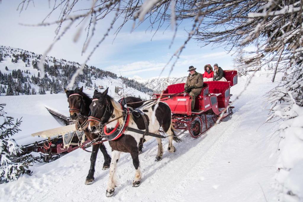 Hosté ubytování Familienhotel Hinteregger